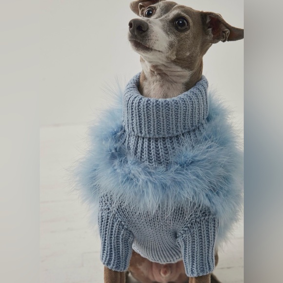 Chilly Dog Baby Blue XL Sweater - Picture 2 of 4